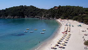 Campo nell'Elba